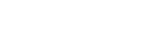 Artiverse Records