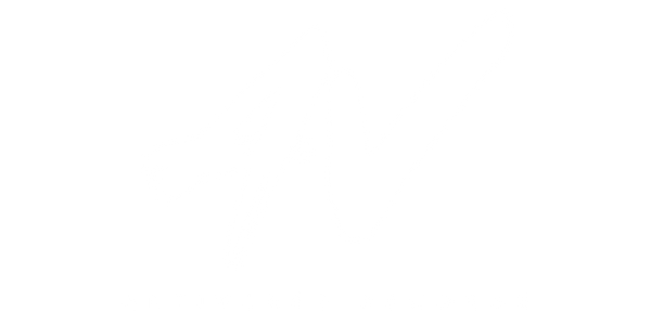 Artiverse Records