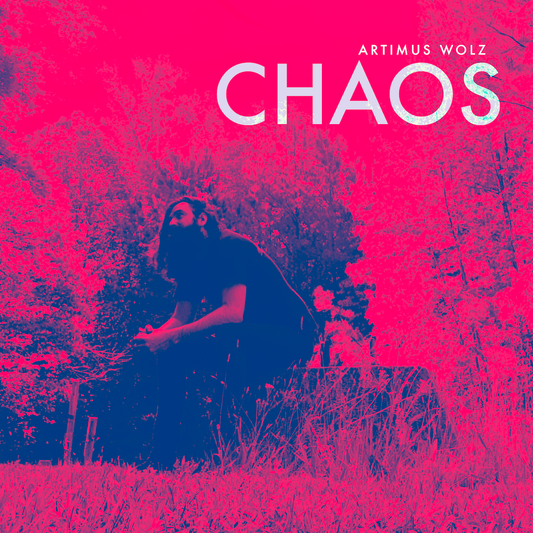 Artimus Wolz Chaos - MP3s